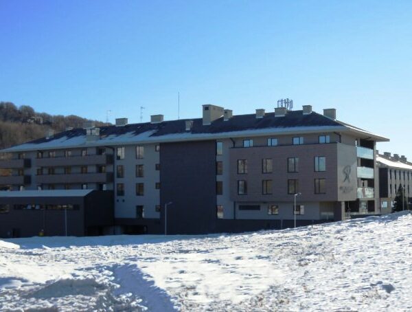 Hotel Stara Planina 4*